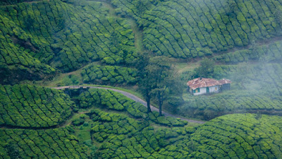 Munnar Sightseeing Places