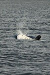 IMG_3676