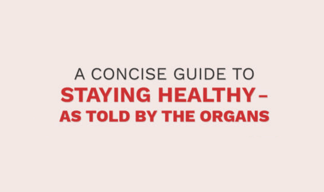 A Concise Guide to Staying Healthy – as Told by the Organs