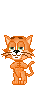 Gif de gatinho