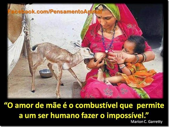 mulheramamentando3