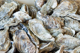 http://advocate.gaalliance.org/dutch-shellfish-farmers-bringing-the-sea-onto-land/