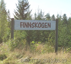 100_7696