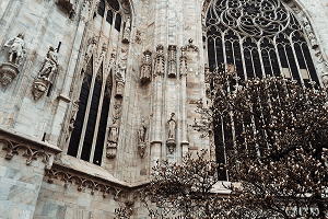 Duomo di Milano con magnolia in fiore