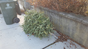 Christmas trees will be picked up during the week of Jan 9