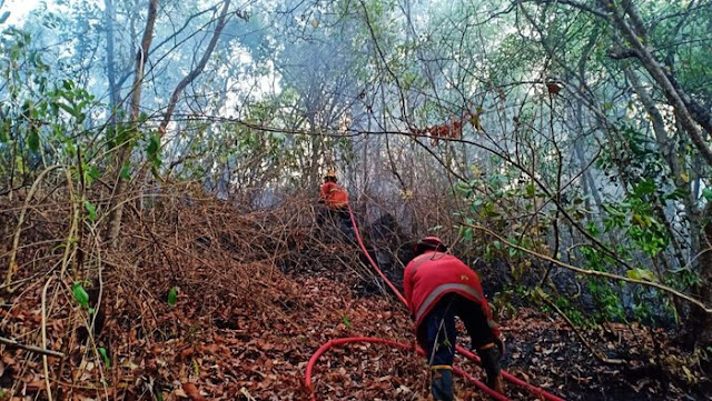  200 Hektare Lahan Produktif di Karangasem Hangus Terbakar