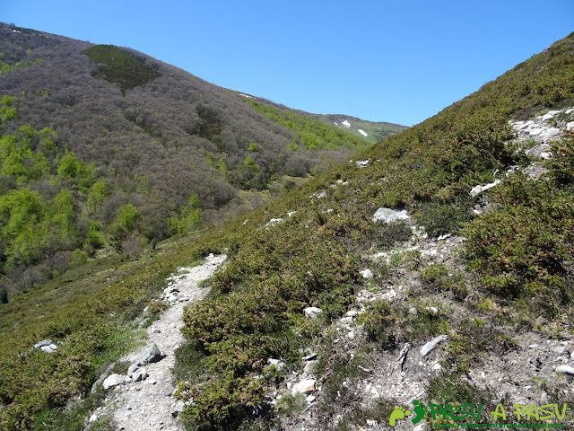 Sendero a media ladera