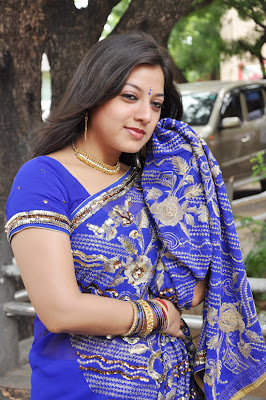  Actress Keerthi Chawla Hot in Blue Saree Photos