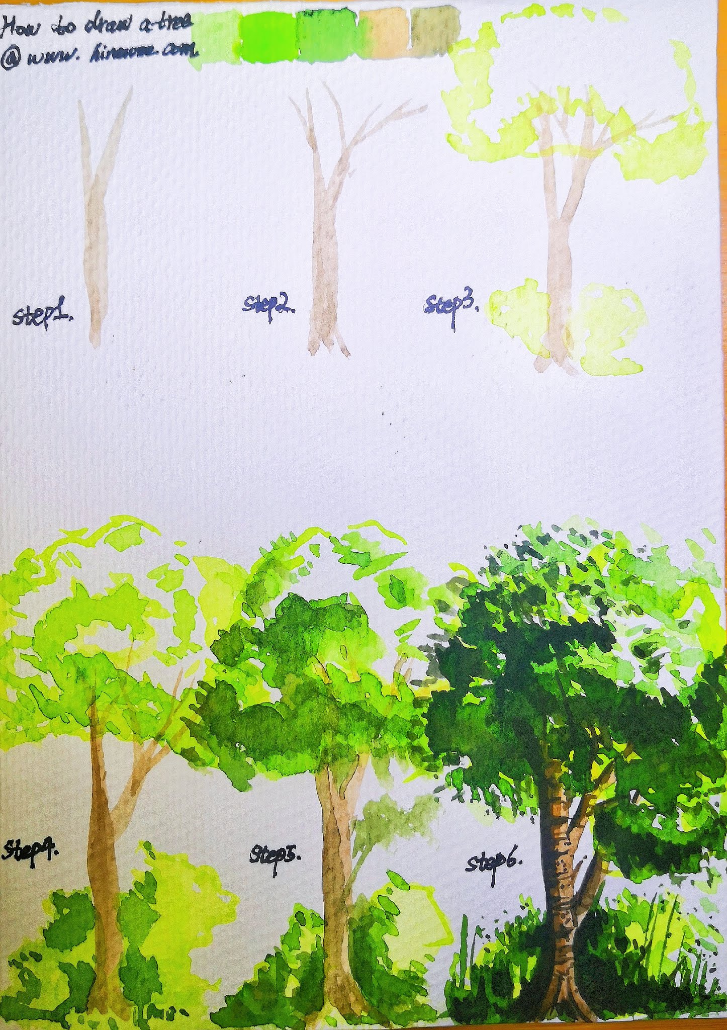 How to draw Watercolor Tree for beginner