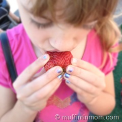 strawberry fresh