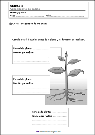 http://www.primerodecarlos.com/TERCERO_PRIMARIA/noviembre/Unidad4/fichas/cono/cono1.pdf