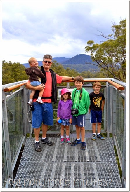 Tahune AirWalk ~ How Many More Minutes?
