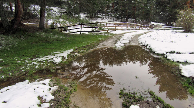 AlfonsoyAmigos - Rutas MTB - Nieve en San Rafael