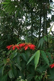 IMG_7354