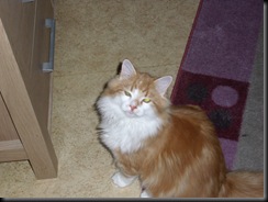 bilder 004