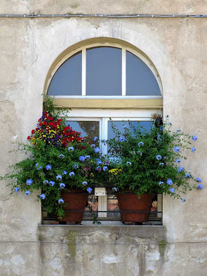 Window with flowers, Livorno