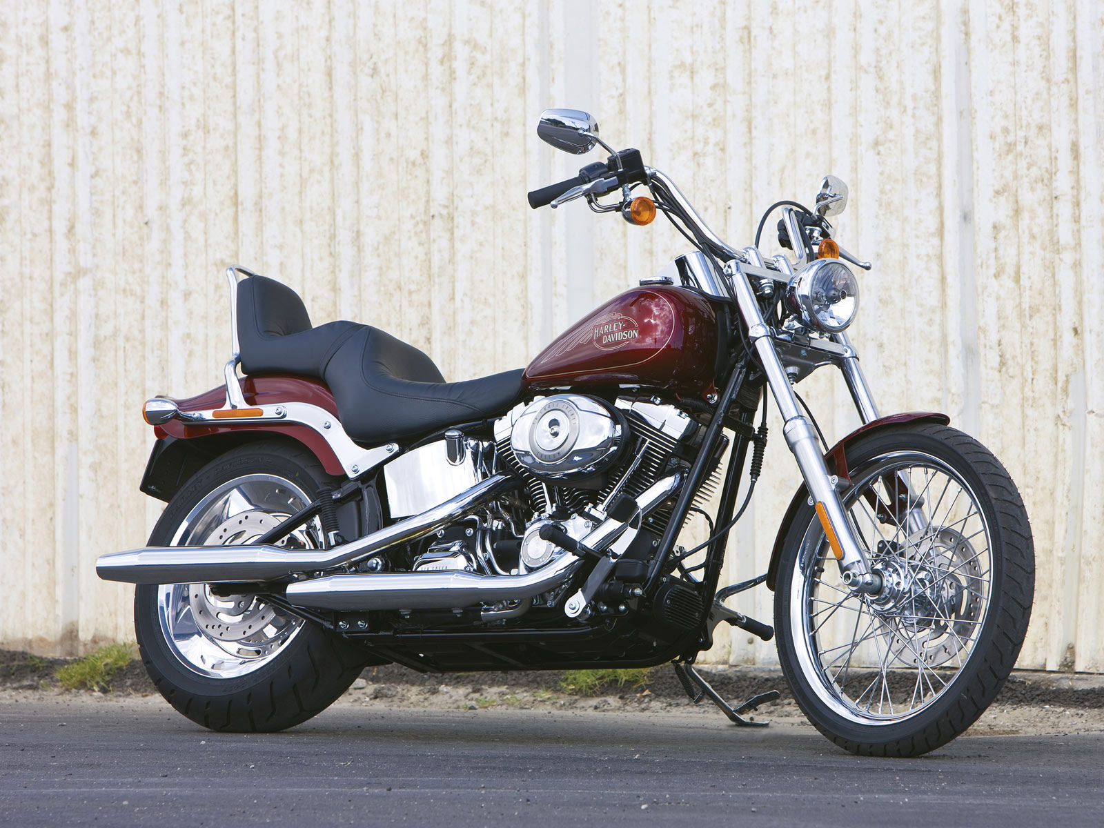 2009 Harley  Davidson  FXSTC Softail  Custom pictures
