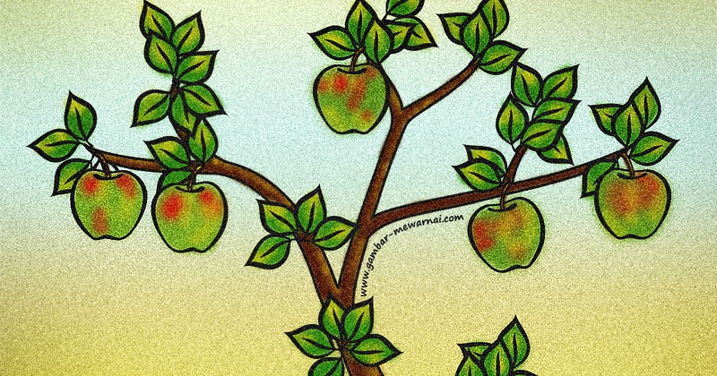 Mewarnai Gambar Pohon Apel