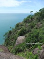 Pulau_Lakei_Bako_National_Park_16