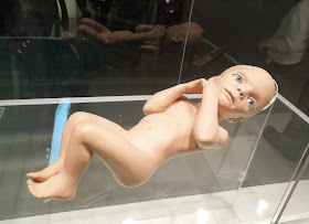 2001 A Space Odyssey Starchild prop