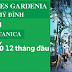 Bảng giá “the botanica – vinhomes gardenia siêu khuyến mãi
