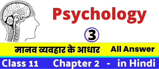 मानव व्यवहार के आधार, Class 11 Psychology Chapter 3 in Hnidi, कक्षा 11 नोट्स, सभी प्रश्नों के उत्तर