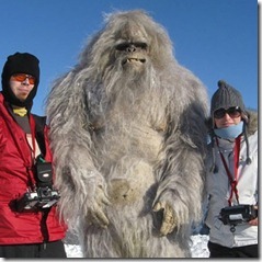 yeti