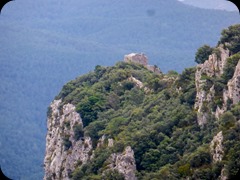 P1060431