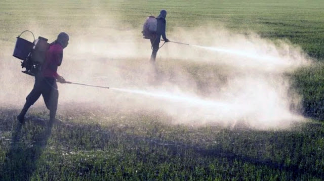 As empresas de abastecimento de 1.396 municípios detectaram todos os 27 pesticidas que são obrigados por lei a testar (Foto: Divulgação)