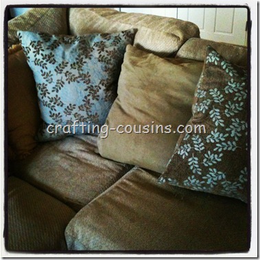 Pillow Shams (11)