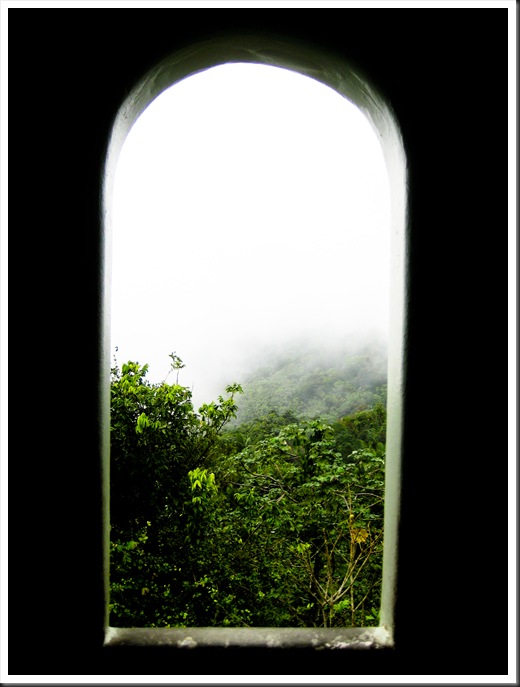 Puerto Rico 2010 228
