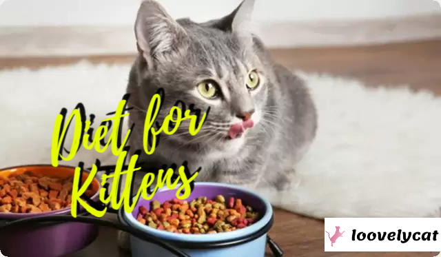  Certainly! Here's an article on "Diet for Kittens: A Guide to Providing the Best Nutrition for Your Feline Friend."