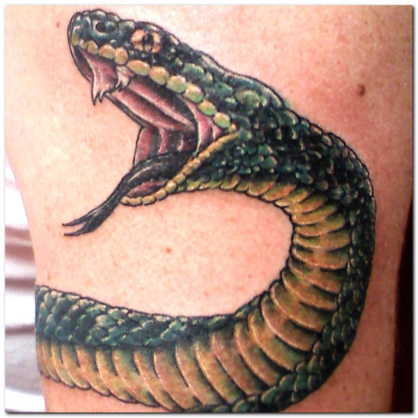 Latest Snake Tattoos Designs 2012