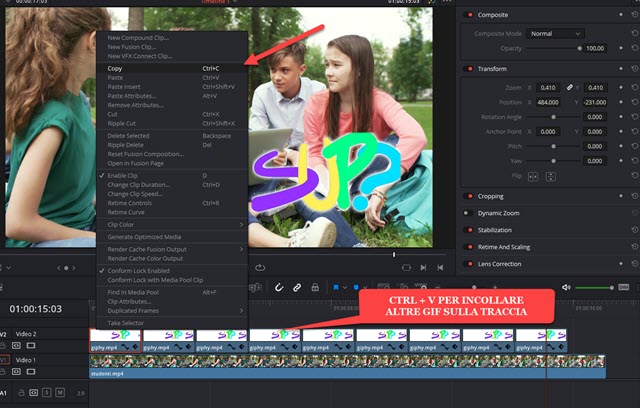 aggiunta di altre gif alla traccia su davinci resolve