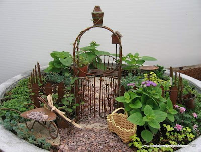 miniature garden plants