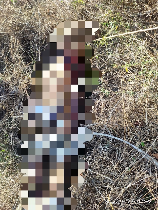 Homem é assassinado a facadas e corpo é encontrado em matagal na cidade de Ilha Grande