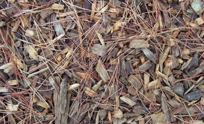 wood-mulch.JPG.662x0_q70_crop-scale