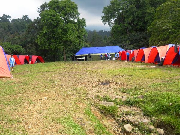 Mandalawangi Camping Ground