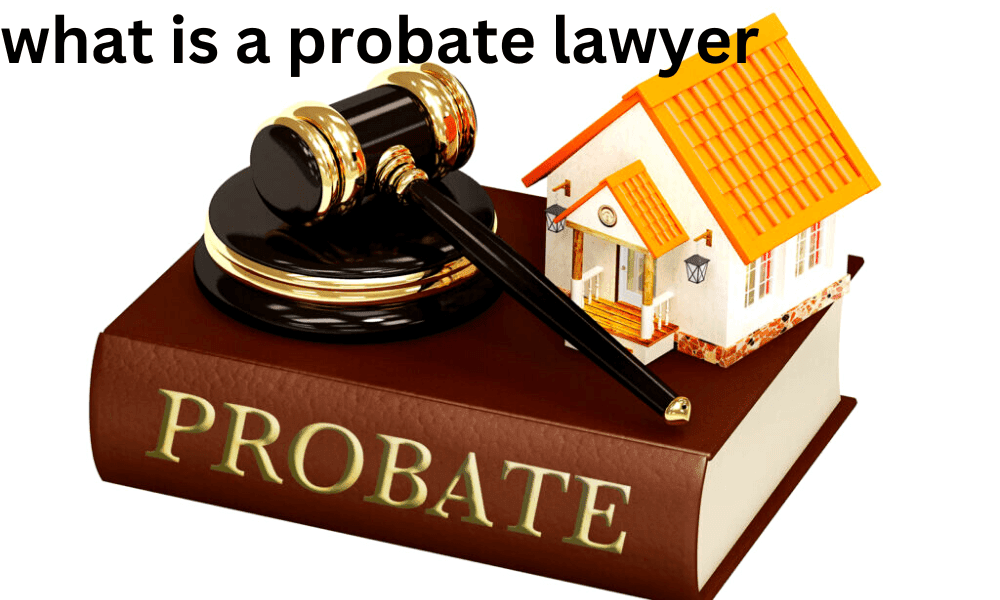 probate lawyer