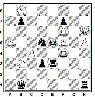 Problema de mate en 2 compuesto por Peter Gvozdjak (Torneo Olímpico, Sotchi 2014, 1º Premio)