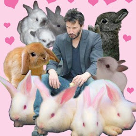 Sad Keanu with bunnies