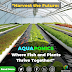 Innovations in Aquaponics: Combining Fish Farming and Hydroponics for Sustainable Agriculture