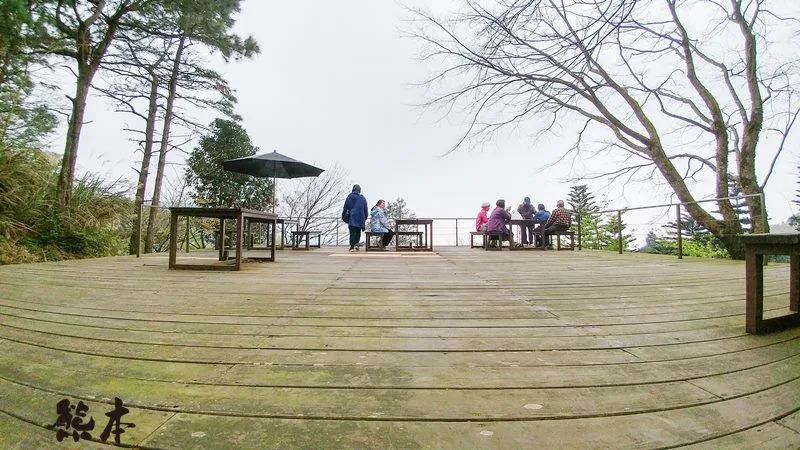 台灣農林熊空茶園｜熊空茶園櫻花園｜三峽櫻花季