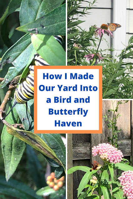How I Made Our Yard Into a Bird and Butterfly Haven