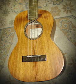 Ukelele APC TS