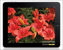 iPad Calibration