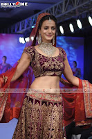 Ameesha, Patel, Walks, Ramp, for, HVJ, Fashion, Show