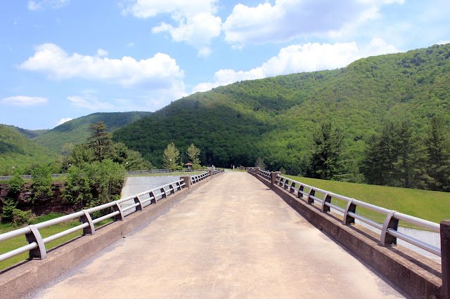 pemandangan jembatan dam di taman sinnemahoning pennsylvania