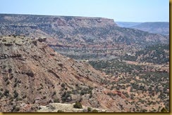 Palo Duro 1