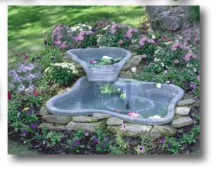 Water Feature Ideas